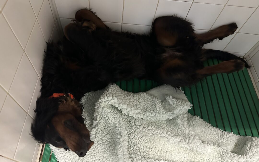 Hospitalisation